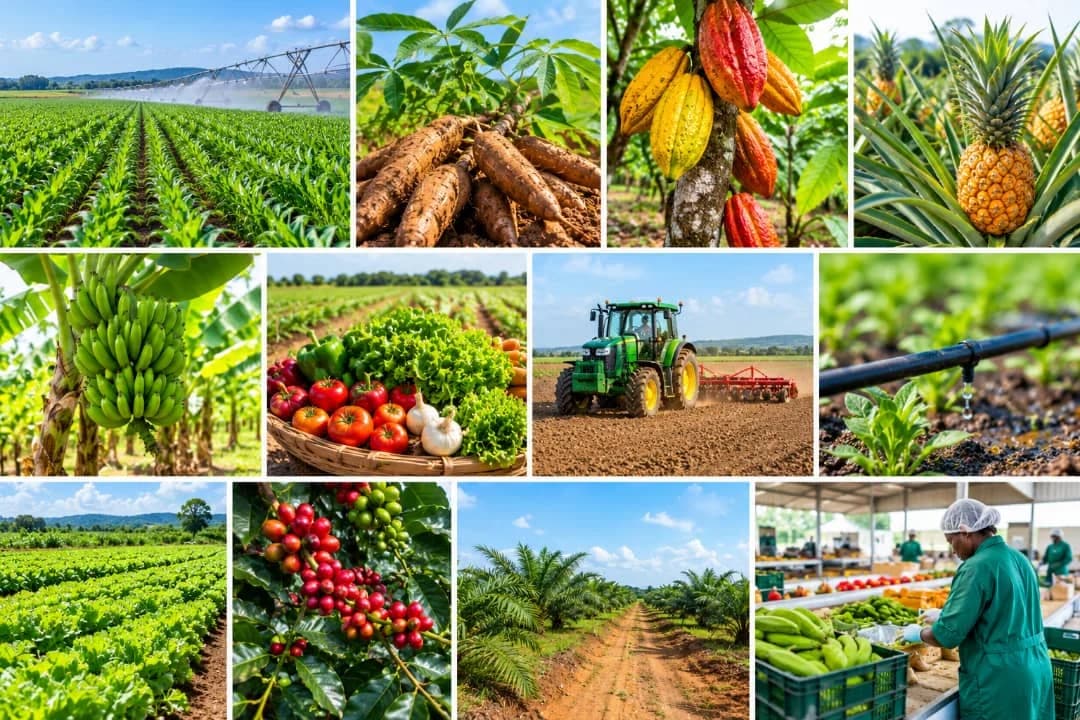 Mechanised agriculture and crop diversity — conceptual illustration