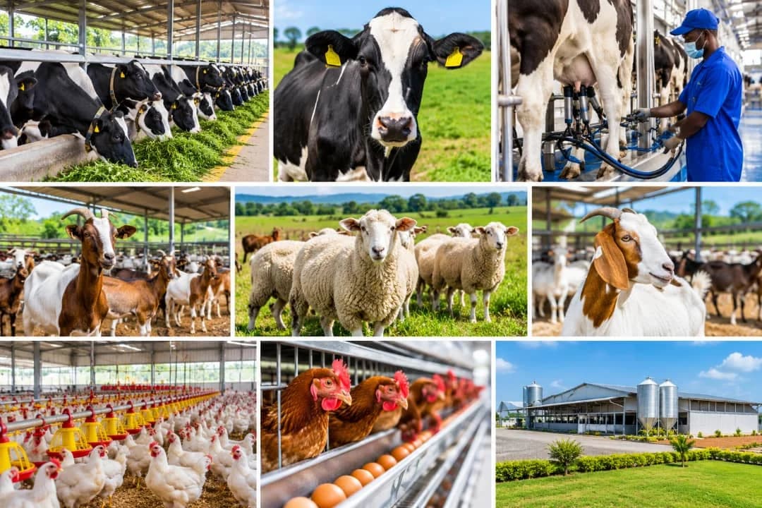 Modern livestock farming — conceptual illustration